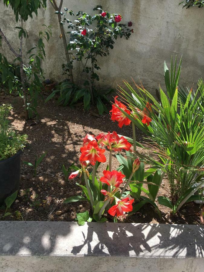 Casa Vacanza Demi Alcamo Marina Esterno foto