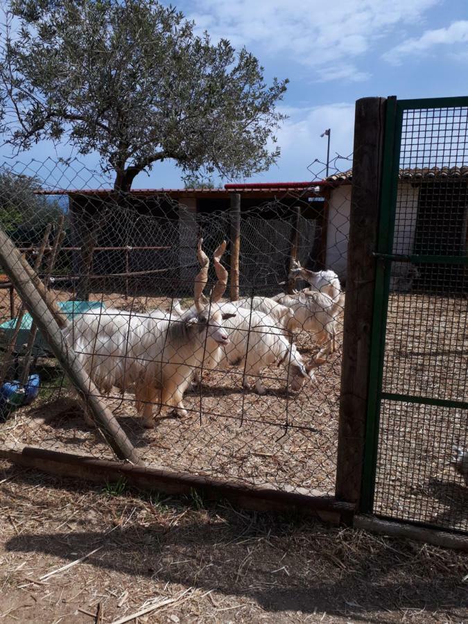 Casa Vacanza Demi Alcamo Marina Esterno foto