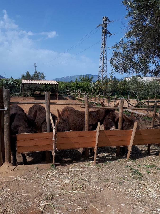 Casa Vacanza Demi Alcamo Marina Esterno foto