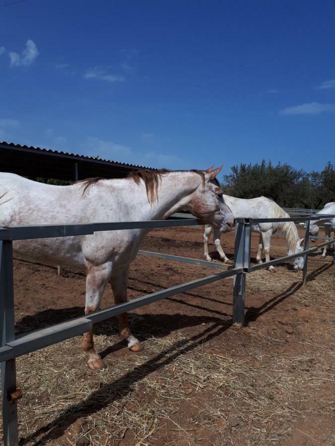 Casa Vacanza Demi Alcamo Marina Esterno foto